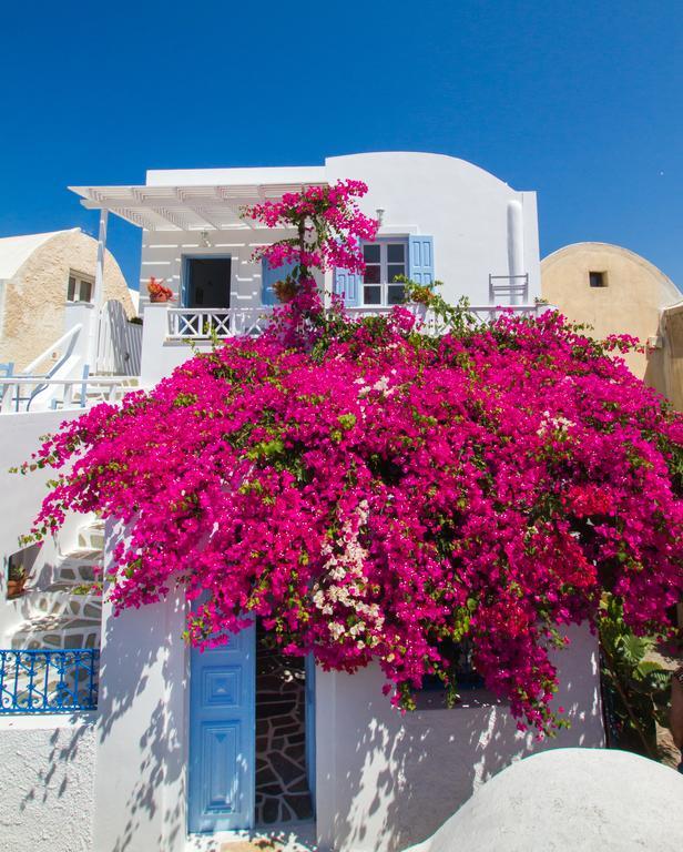 אויה Evilio Houses מראה חיצוני תמונה